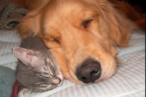 华体会网站-中国三人篮球男队灵活变阵 应对多样战术挑战，中国男子三人篮球名单