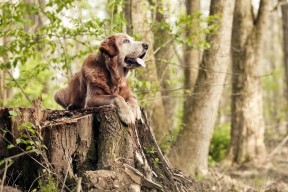 华体会官方网站首页-1000元套餐成新生入学“硬性规定”？家长不满声起
