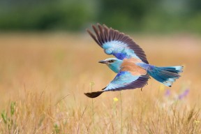 华体会平台娱乐-校园田径比赛首次引入电子计时系统，田径比赛电子计时设备