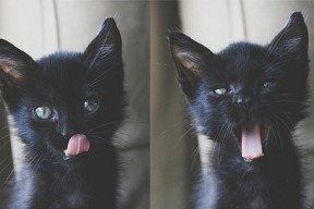 华体会手机网站-Bailey 稳定发挥被誉为最佳四分卫，最好的四分卫在打nba