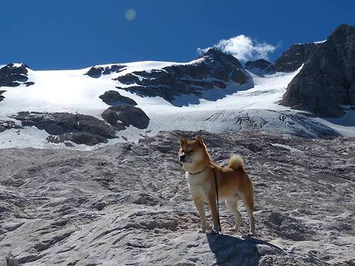 中国篮球职业联赛市场竞争环境与发展策略，中国竞技篮球的发展趋势