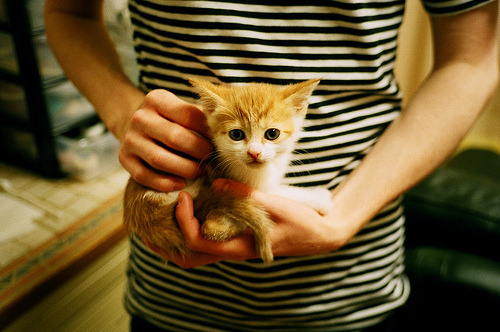 中国篮球职业联赛市场营销创新模式分析，篮球市场分析报告