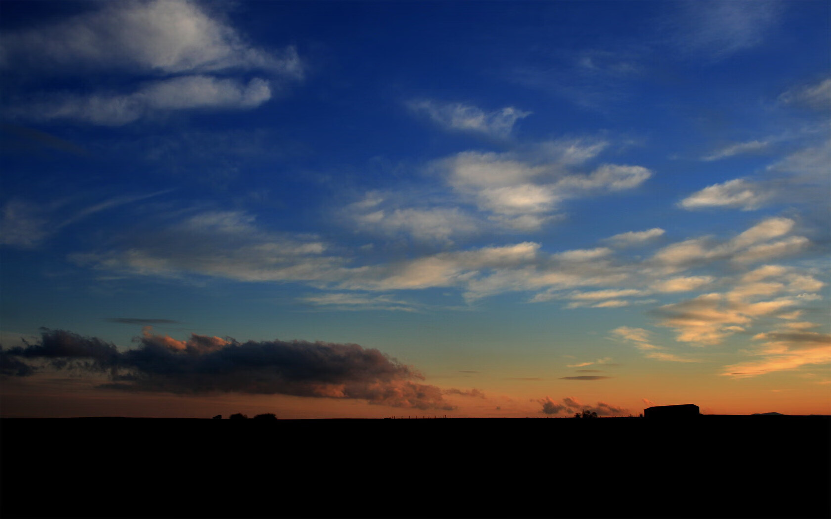 校园体育科技创新活动设计与评估标准,学校体育活动创新