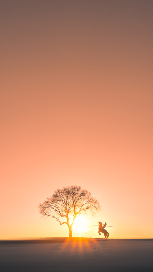 篮球专项技能训练课程体系完善与创新设计,篮球技能培训方案