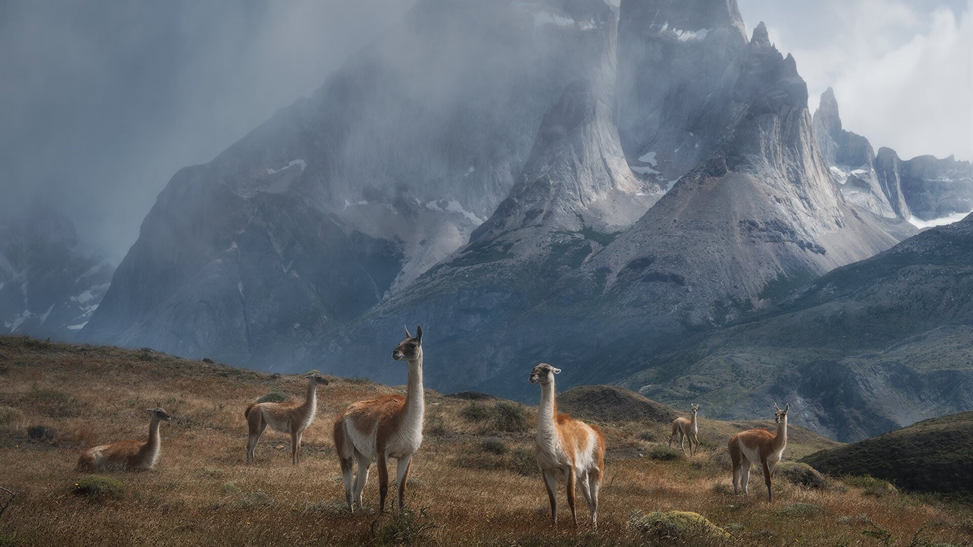 CBA联盟优化联赛结构推动职业化建设,cba联盟规则