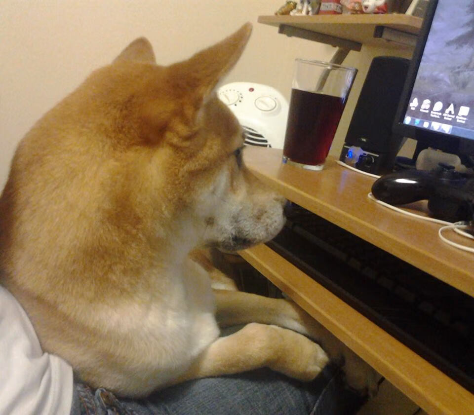 世界杯中国足球晋级 热血时刻燃爆全场，世界杯足球2022中国