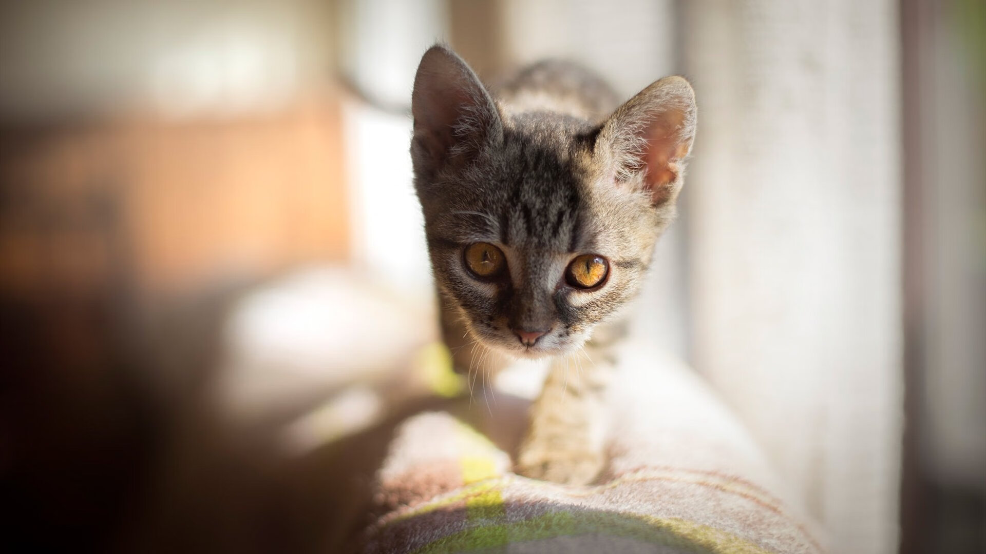 新疆男篮积极备战强敌提升防守韧性，新疆男篮最新