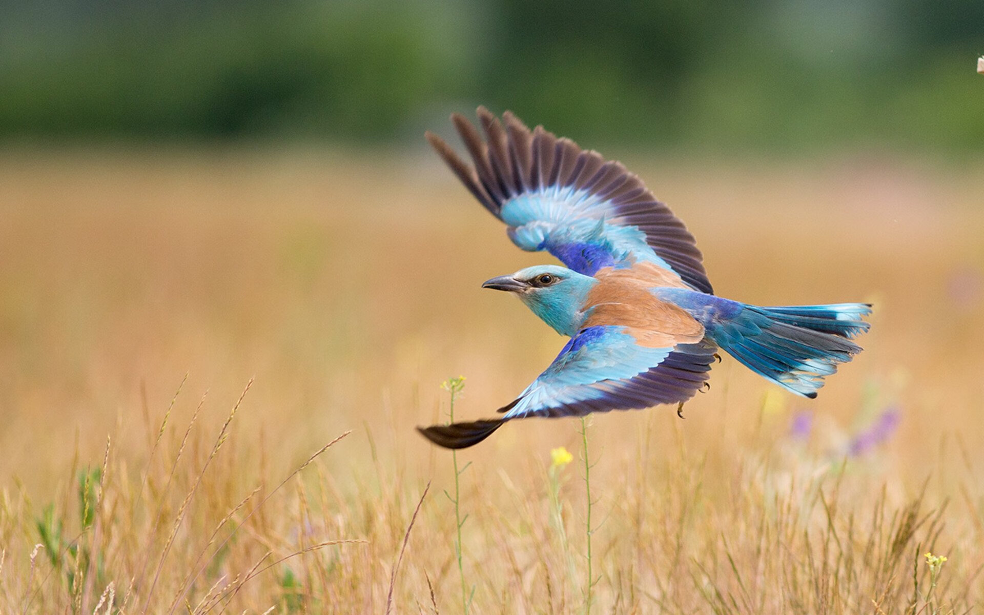 校园田径比赛首次引入电子计时系统，田径比赛电子计时设备