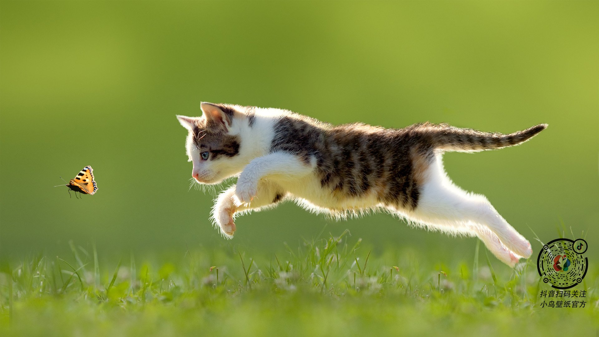 世界杯激情再燃：高潮不断，精彩值得期待！，世界杯精彩片段视频