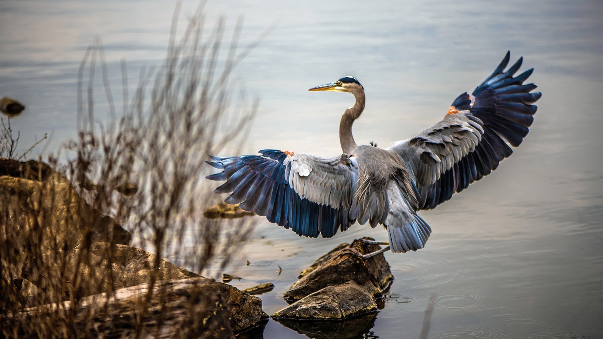 坦桑尼亚男篮在非洲锦标赛中奋勇攀登，追求突破