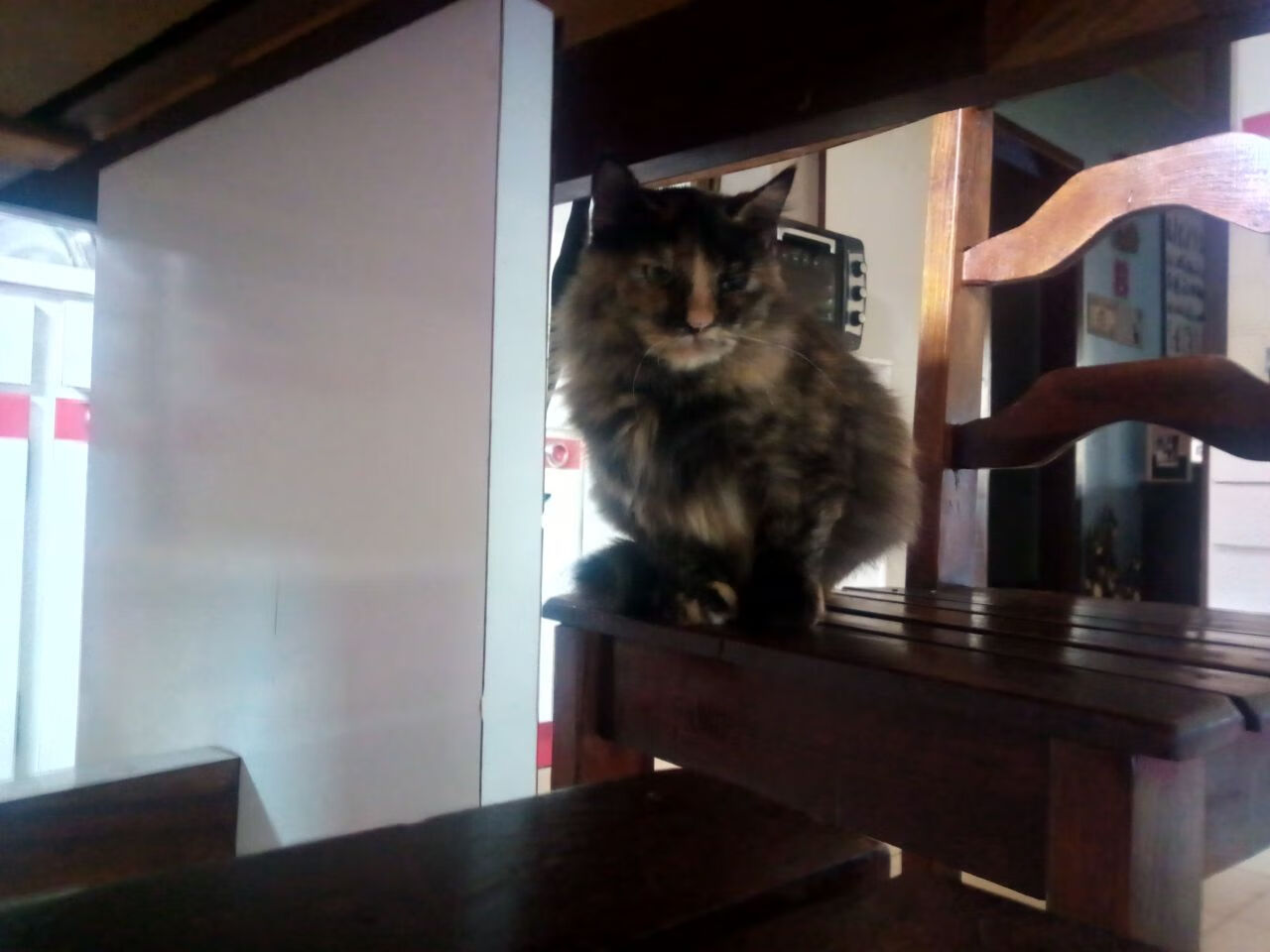 法甲箭指巅峰：战术配合成就经典，法甲指甲