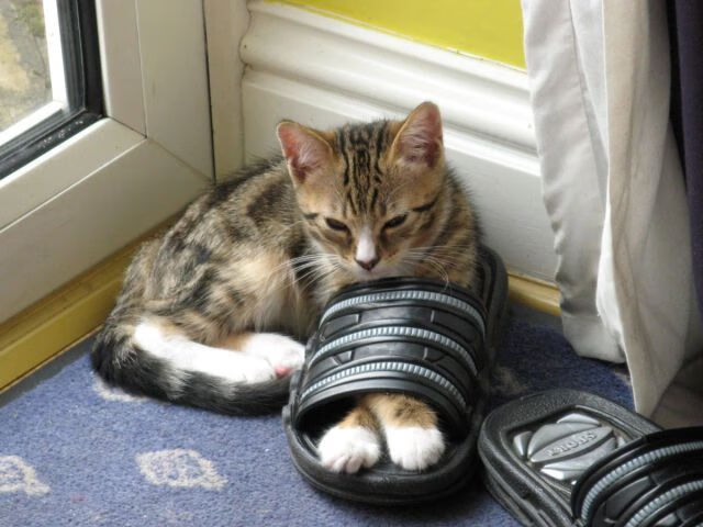 电子竞技规则标准化进程取得突破，电子竞技 标准