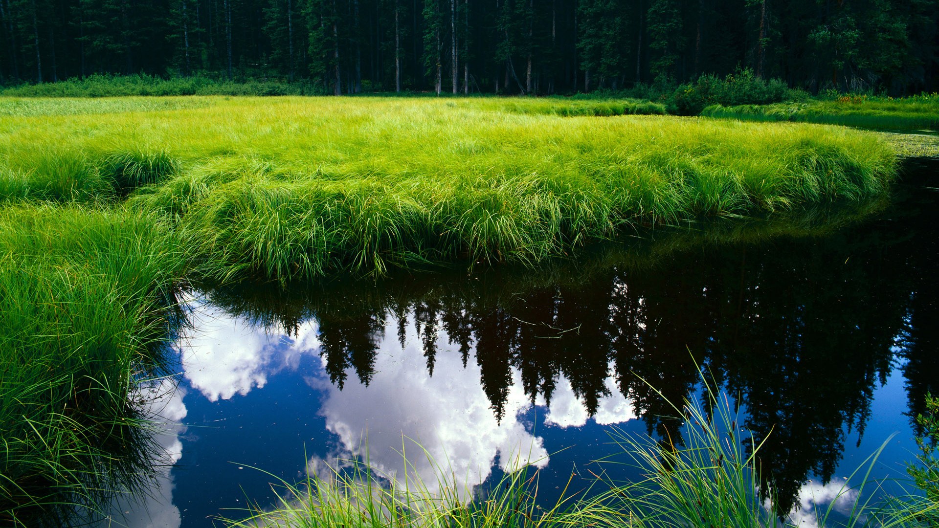 艾比·德尔福：全面防守和进攻支援，南非队不容忽视的核心，艾德和比尔的故事