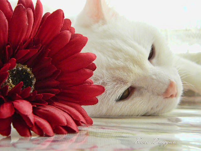 赛季初表现不佳球队通过调整成功止颓找回竞争状态