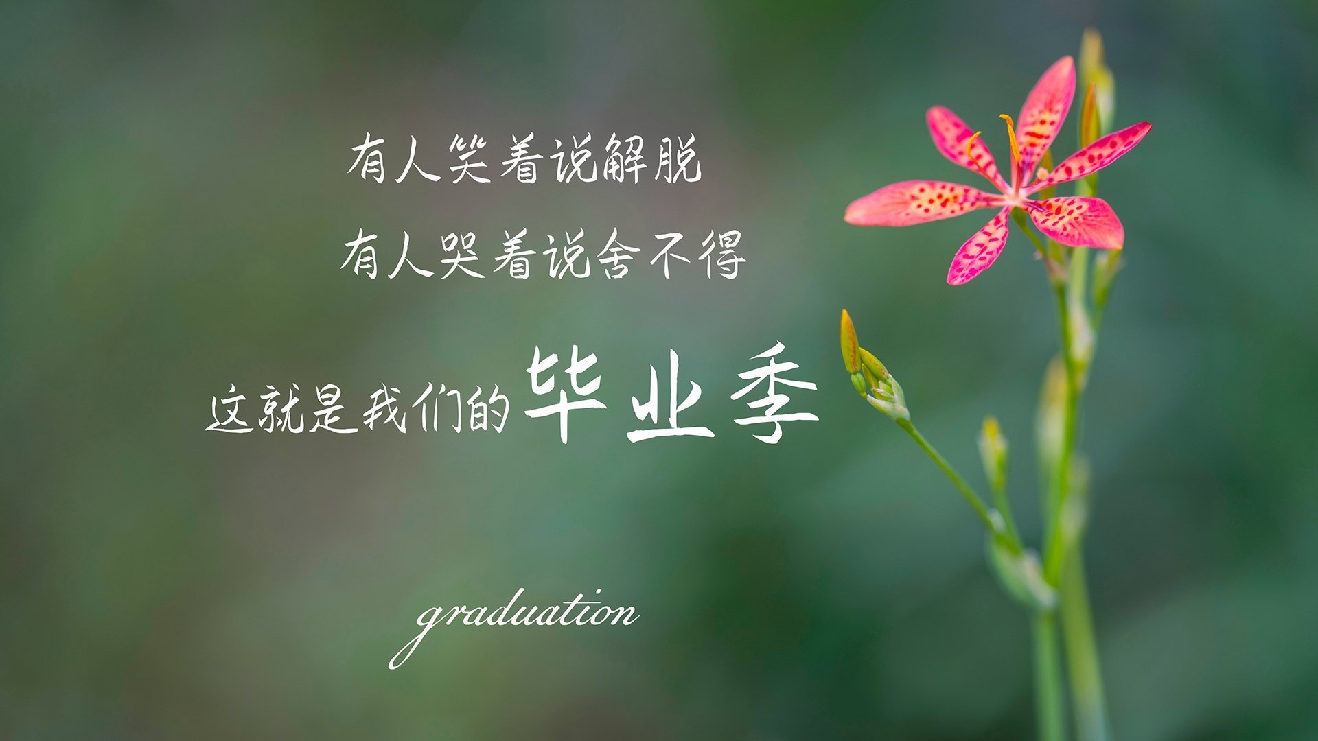 中超是否推动教练助理岗位职业化与梯队培养，中超球队主教练工资