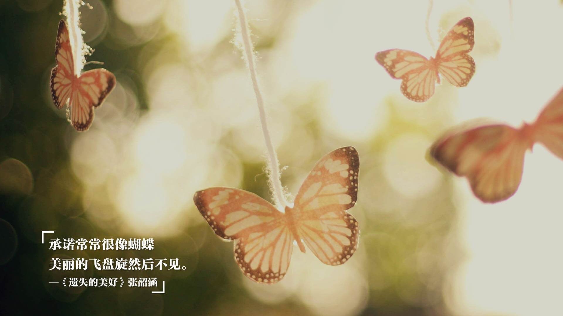 凯恩触发解约金条款，顶薪签约重返热刺，凯恩与热刺续约